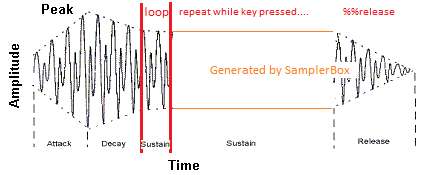 ADSR wave with loop markers