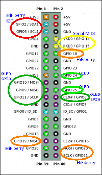 GPIO fixed pins